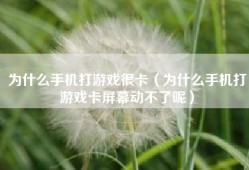 为什么手机打游戏很卡（为什么手机打游戏卡屏幕动不了呢）