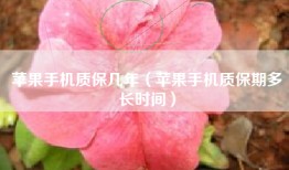 苹果手机质保几年（苹果手机质保期多长时间）