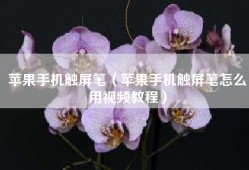 苹果手机触屏笔（苹果手机触屏笔怎么用视频教程）