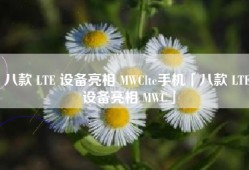 八款 LTE 设备亮相 MWClte手机「八款 LTE 设备亮相 MWC」