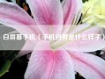 白屏幕手机（手机白屏是什么样子）