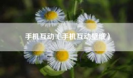 手机互动（手机互动壁纸）