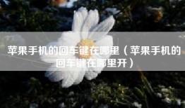 苹果手机的回车键在哪里（苹果手机的回车键在哪里开）