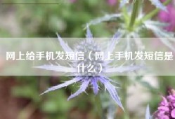 网上给手机发短信（网上手机发短信是什么）