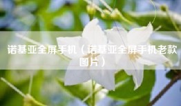 诺基亚全屏手机（诺基亚全屏手机老款图片）