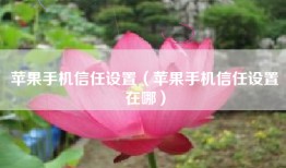 苹果手机信任设置（苹果手机信任设置在哪）