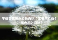 手机屏幕黑点消除方法（苹果手机有个小黑点怎么消除）