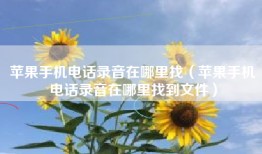 苹果手机电话录音在哪里找（苹果手机电话录音在哪里找到文件）