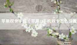 苹果双卡手机（苹果13手机双卡怎么设置）