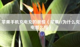 苹果手机充电充的很慢（苹果11为什么充电那么慢）