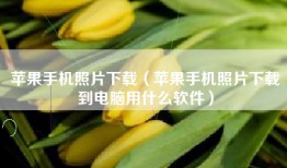 苹果手机照片下载（苹果手机照片下载到电脑用什么软件）