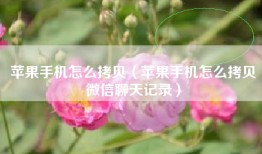 苹果手机怎么拷贝（苹果手机怎么拷贝微信聊天记录）