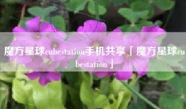 魔方星球cubestation手机共享「魔方星球cubestation」