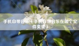 手机自带音乐（手机自带音乐在哪个文件夹里）