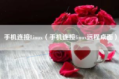 手机连接Linux（手机连接linux远程桌面）