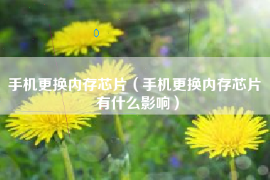 手机更换内存芯片（手机更换内存芯片 有什么影响）