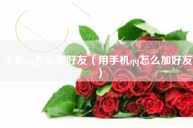 手机qq怎么加好友（用手机qq怎么加好友）