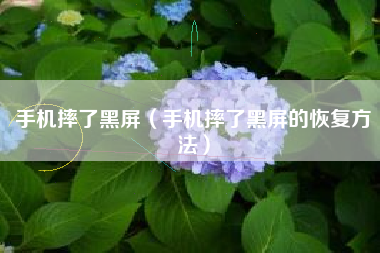 手机摔了黑屏（手机摔了黑屏的恢复方法）