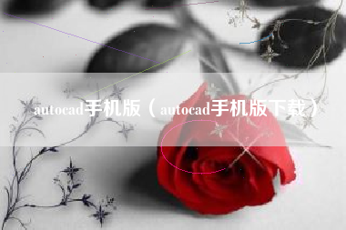 autocad手机版（autocad手机版下载）