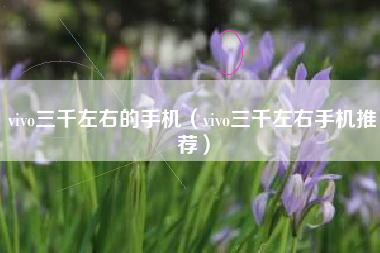 vivo三千左右的手机（vivo三千左右手机推荐）